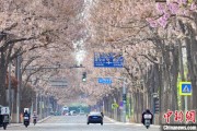 赣州共建“花园城市” 北京这场议政会“百花齐放”
