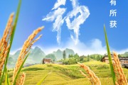赣州芒种节气小知识来了 夏种作物都有什么？
